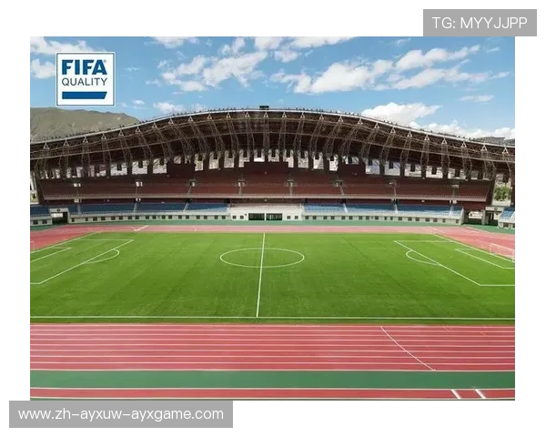 高海拔地区足球场地特殊建造标准